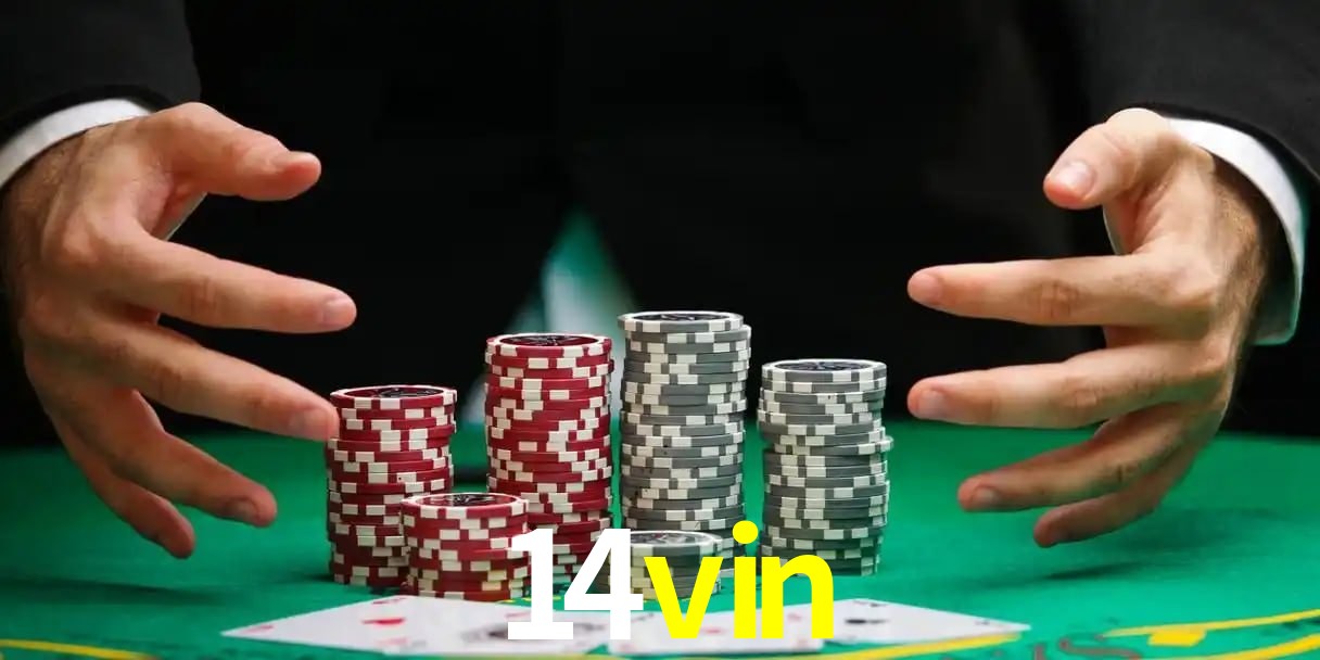 Chances Ganhar 14vin
