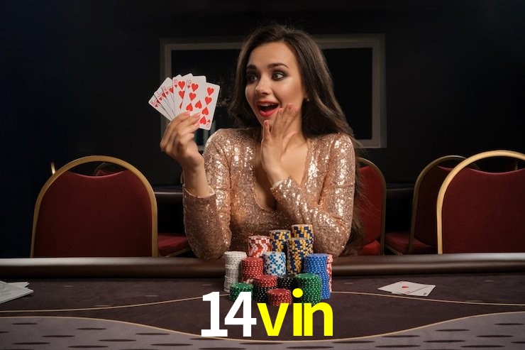 Experiência VIP 14vin