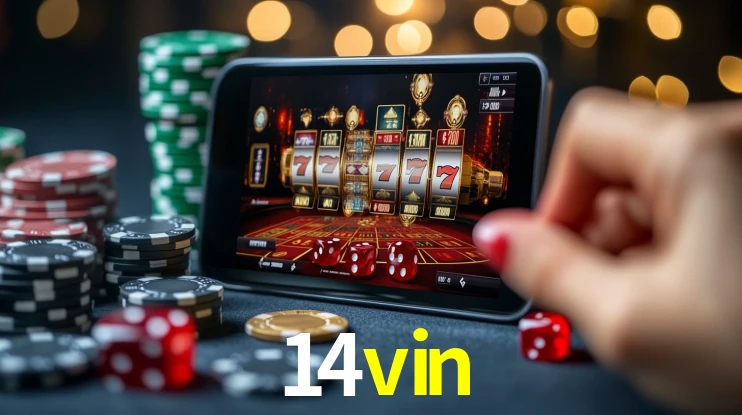 14vin App Interface
