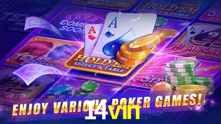 Casino VIP 14vin
